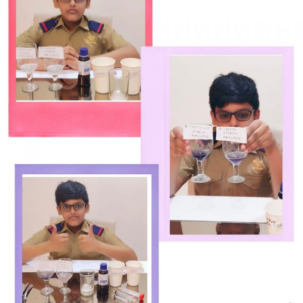 KARTHIK CLASS 7E(2) KARTHIK CLASS 7E(2)