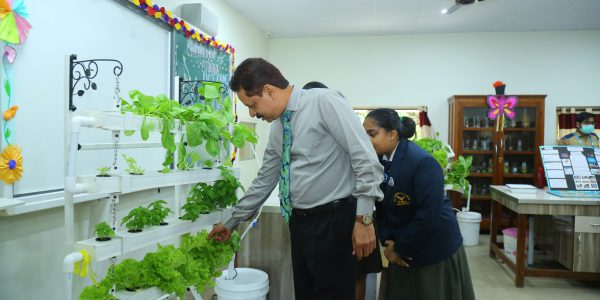 school exhibition