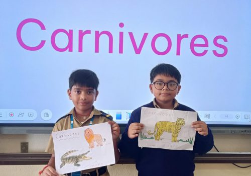CARINOVORES CARINOVORES