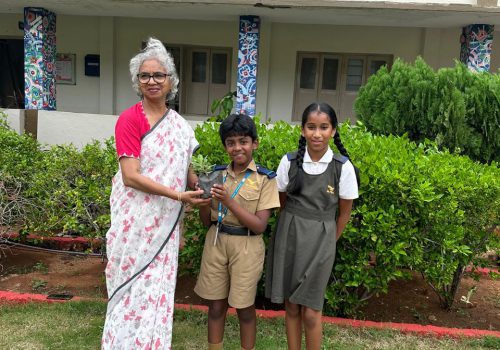 Plantation at School (2) Plantation at School (2)